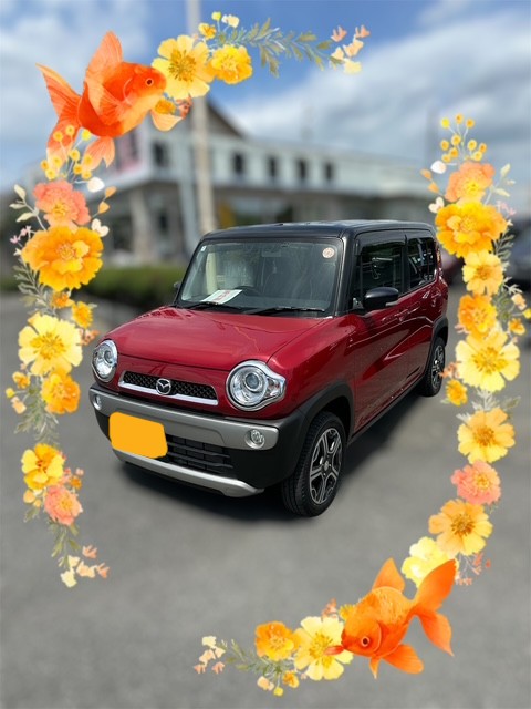 N様・埼玉県